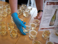 Champagneløbet-2019-464